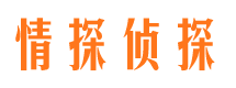 岱山市私家侦探